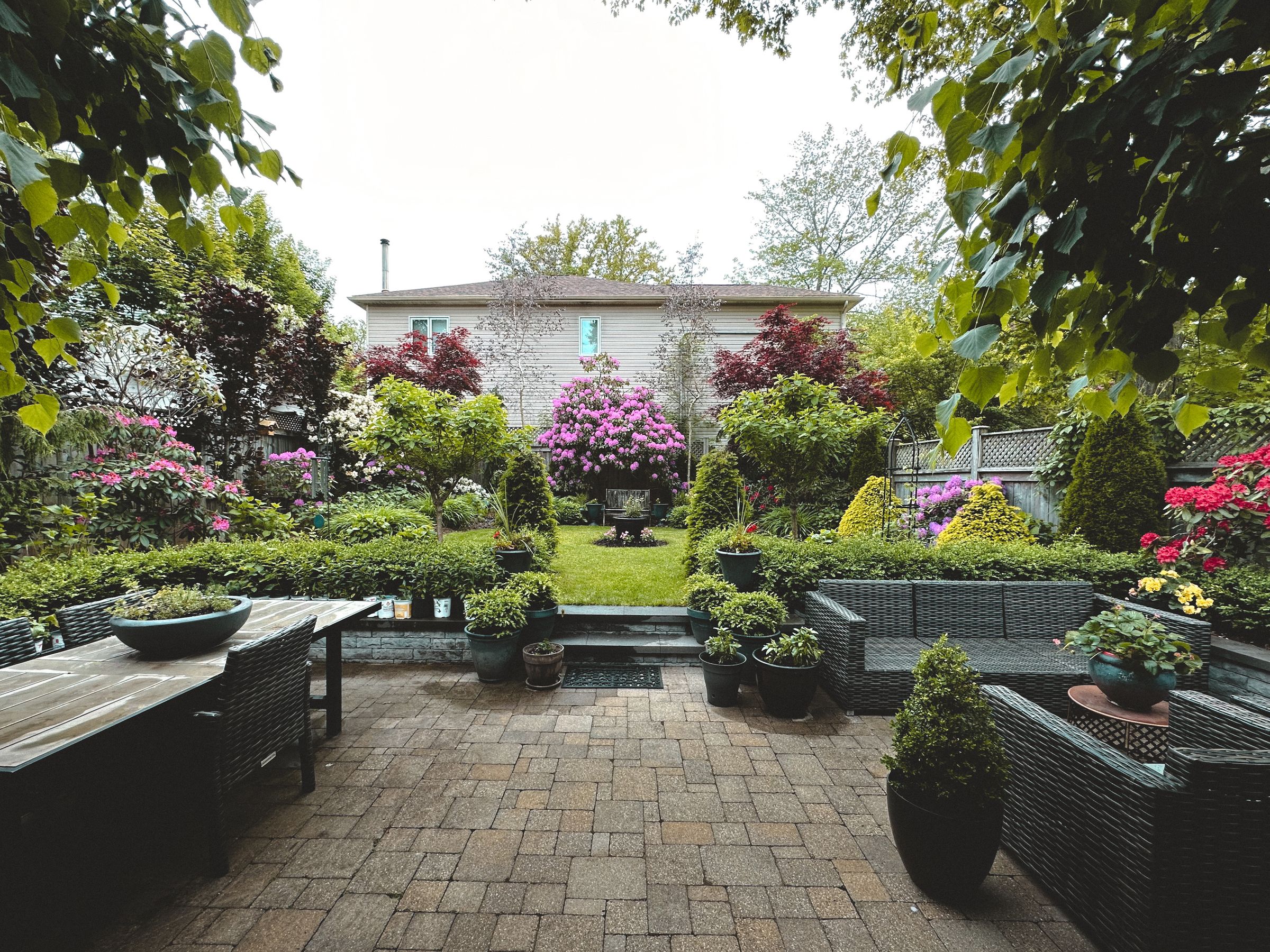 Brick paver patio laid in running bond with wicker seating, steps up to a small lawn behind a low block edge, flowering shrubs and small trees around the yard