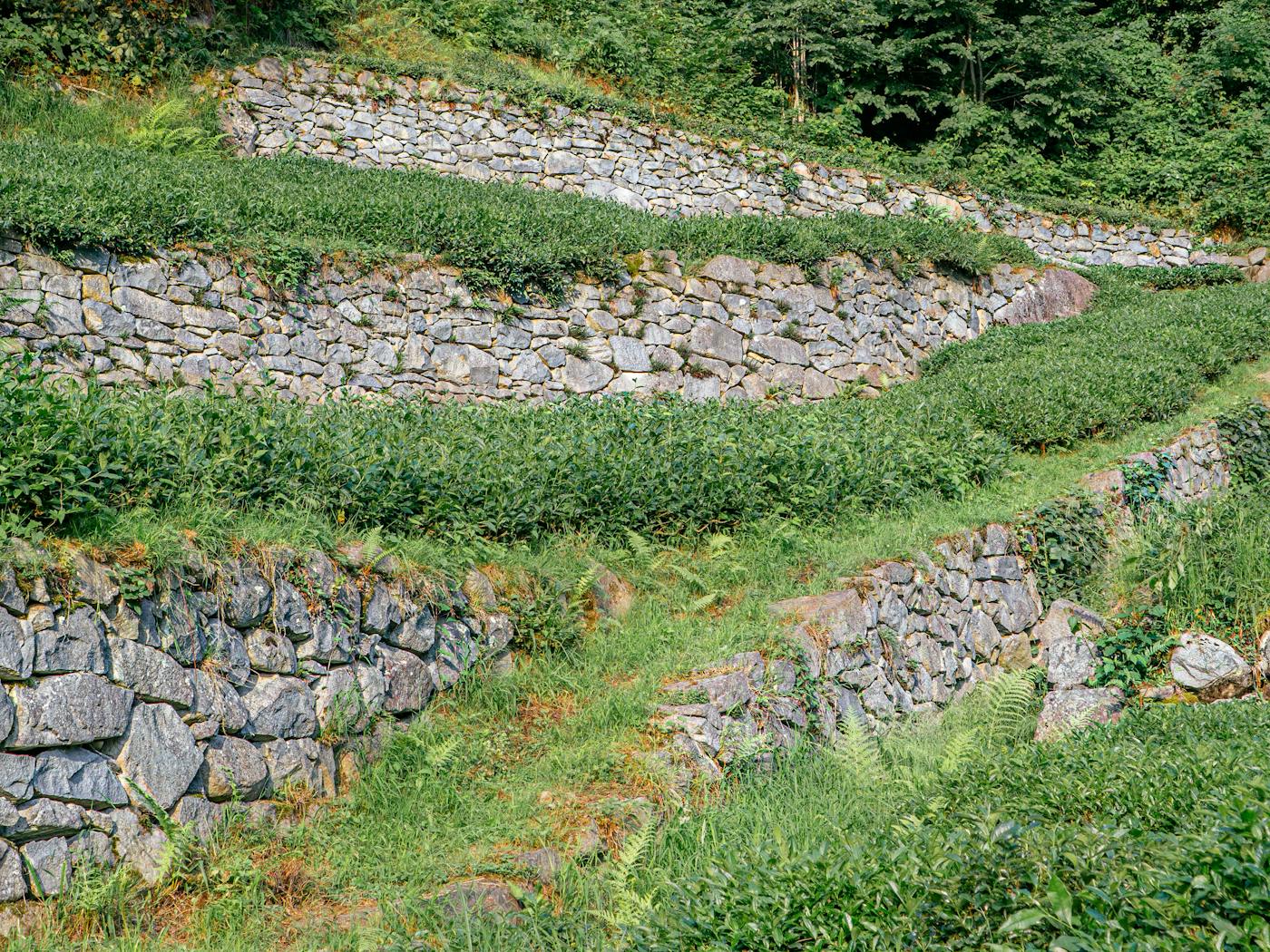 Terraced block walls stepping up a desert hillside lot — reference for retaining wall build